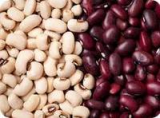 Black Purple Speckled_Red _ White Kidney Beans and Mung Bean